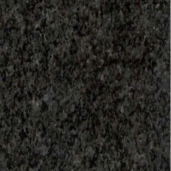 Africa Grey